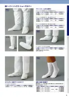 カタログ・関連情報