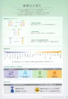 カタログ・関連情報