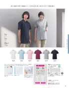 カタログ・関連情報