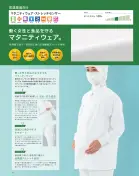 カタログ・関連情報