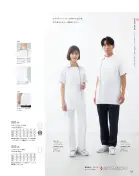 カタログ・関連情報