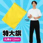 カタログ・関連情報