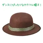 カタログ・関連情報