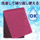 カタログ・関連情報