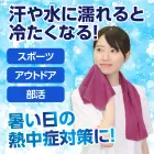 カタログ・関連情報