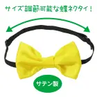 カタログ・関連情報