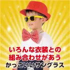 カタログ・関連情報