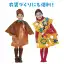カタログ・関連情報 525