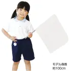 カタログ・関連情報