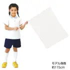 カタログ・関連情報