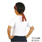 カタログ・関連情報