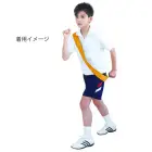 カタログ・関連情報