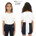カタログ・関連情報