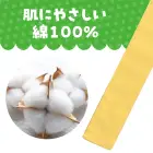カタログ・関連情報