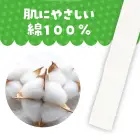 カタログ・関連情報