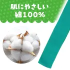 カタログ・関連情報