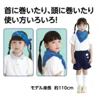 カタログ・関連情報