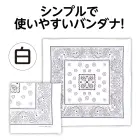 カタログ・関連情報