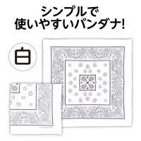 アーテック 1242 バンダナ 白 関連情報 カタログ 68ページ