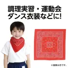 カタログ・関連情報