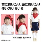 カタログ・関連情報