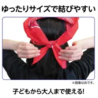 アーテック 1242 バンダナ 白 関連情報 カタログ 71ページ