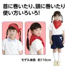 カタログ・関連情報