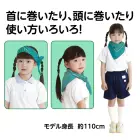 カタログ・関連情報