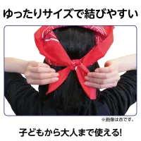 アーテック 1245 バンダナ 緑 関連情報 カタログ 83ページ
