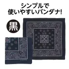 カタログ・関連情報