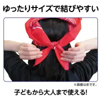 アーテック 1248 バンダナ 黒 関連情報 カタログ 89ページ