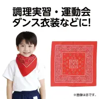 アーテック 1248 バンダナ 黒 関連情報 カタログ 90ページ