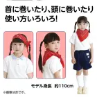 カタログ・関連情報