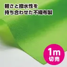 カタログ・関連情報