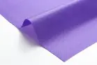 カタログ・関連情報