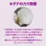 カタログ・関連情報 172