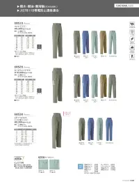 旭蝶繊維 E8700 レディススモック（ヒヨク釦式） 関連情報 カタログ 100ページ