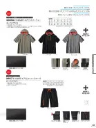 カタログ・関連情報