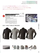 カタログ・関連情報