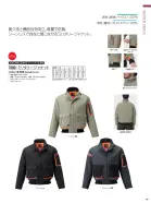 カタログ・関連情報