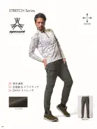 カタログ・関連情報