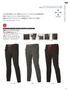 カタログ・関連情報