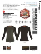 カタログ・関連情報
