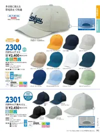 ビーバーズキャップ 2300 六方キャップ エコ（JS-1900型） 関連情報 カタログ 12ページ