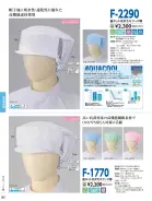 カタログ・関連情報