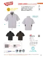 カタログ・関連情報