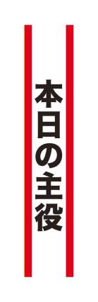 カタログ・関連情報