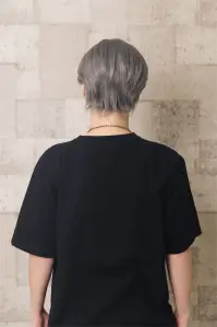 クリアストーン 4560320912125 WIGGY RICHメンズ コンマヘア(シルバーアッシュ)  関連情報 カタログ 198ページ