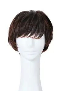 クリアストーン 4560320879961 WIGGY RICHメンズ ナチュラルマッシュ(ダークブラウン) 関連情報 カタログ 220ページ