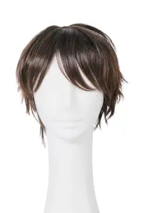 クリアストーン 4560320879985 WIGGY RICHメンズ ベーシックショート(ダークブラウン) 関連情報 カタログ 230ページ